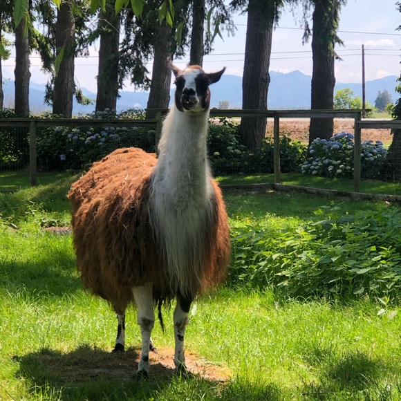 🚨🚨 Katie Grace is Live 🖤🤘🏼🌲🏔️🥾🌙 - Picture 13 of 13